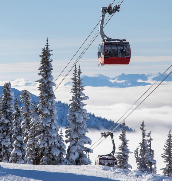 Whistler